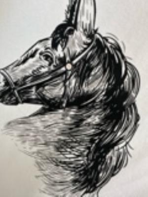 wholesale quality hermes men shirts model no. 242